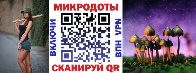Псилоцибиновые грибы Psilocybe  купить наркотики цена  Инта 